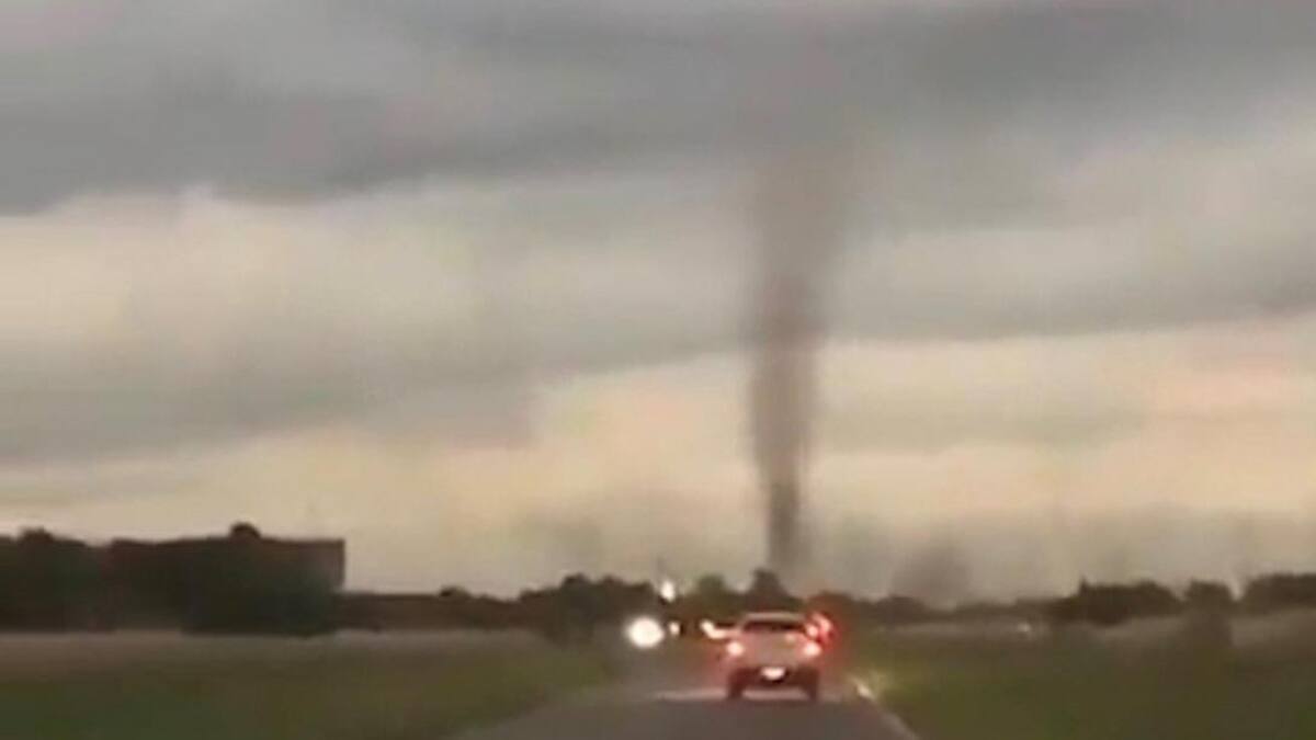 Tromba de mosquitos en la Costa