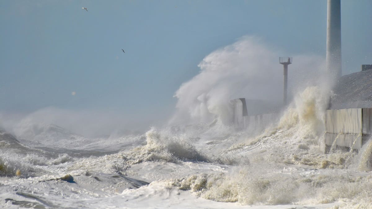 Tsunami; terremoto; maremoto.