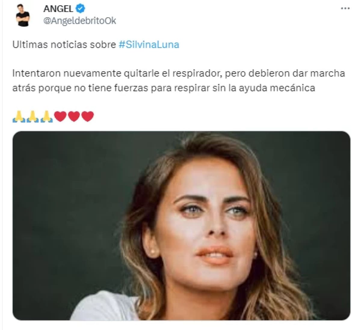 Tuit de Ángel de Brito por Silvina Luna. Foto: Twitter.