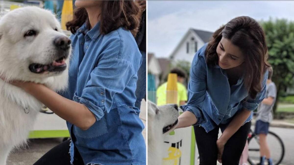 Tuitea para Google con un celular iPhone de Apple