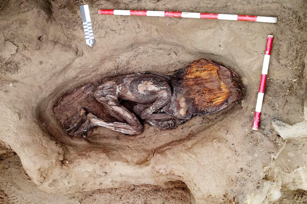 Tumba de una mujer de casi 5 mil años encontrada en Perú. Foto: EFE.