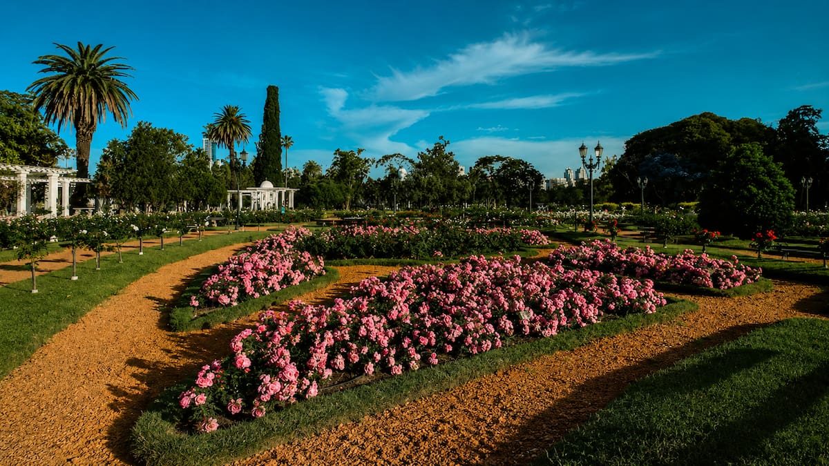 El secreto centenario del Rosedal de Palermo: la historia del jardín que floreció sobre las huellas de Rosas