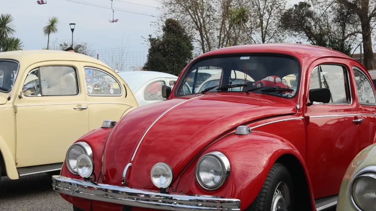 La caravana de Volkswagen Escarabajo que sorprenderá a Buenos Aires: cuándo es, desde dónde sale y cómo participar