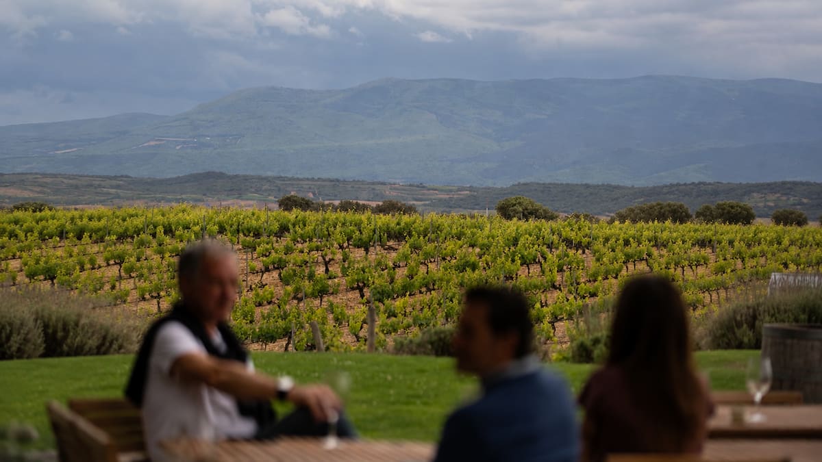 La bodega que desafió al mapa del vino argentino: está en Buenos Aires y nació de una promesa entre amigos