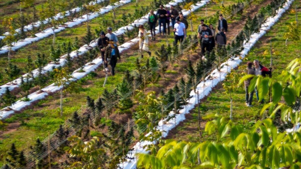 Turismo cannábico en Argentina. Foto: Instagram @unge.arg