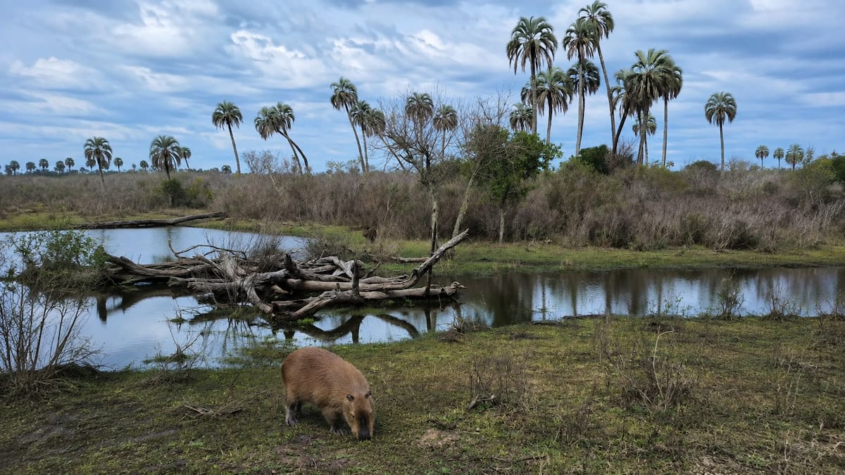 Fue una estancia, esconde ruinas coloniales y hoy es el parque nacional elegido por las escuelas