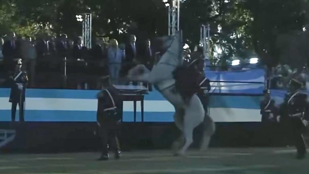 Video: un caballo se alteró durante la entrega del sable corvo y arrojó al suelo a un granadero delante de Milei