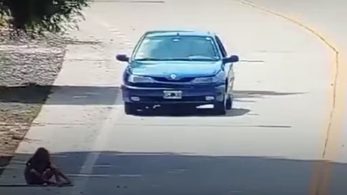 Un episodio aterrador en Punta Lara. Foto: captura.