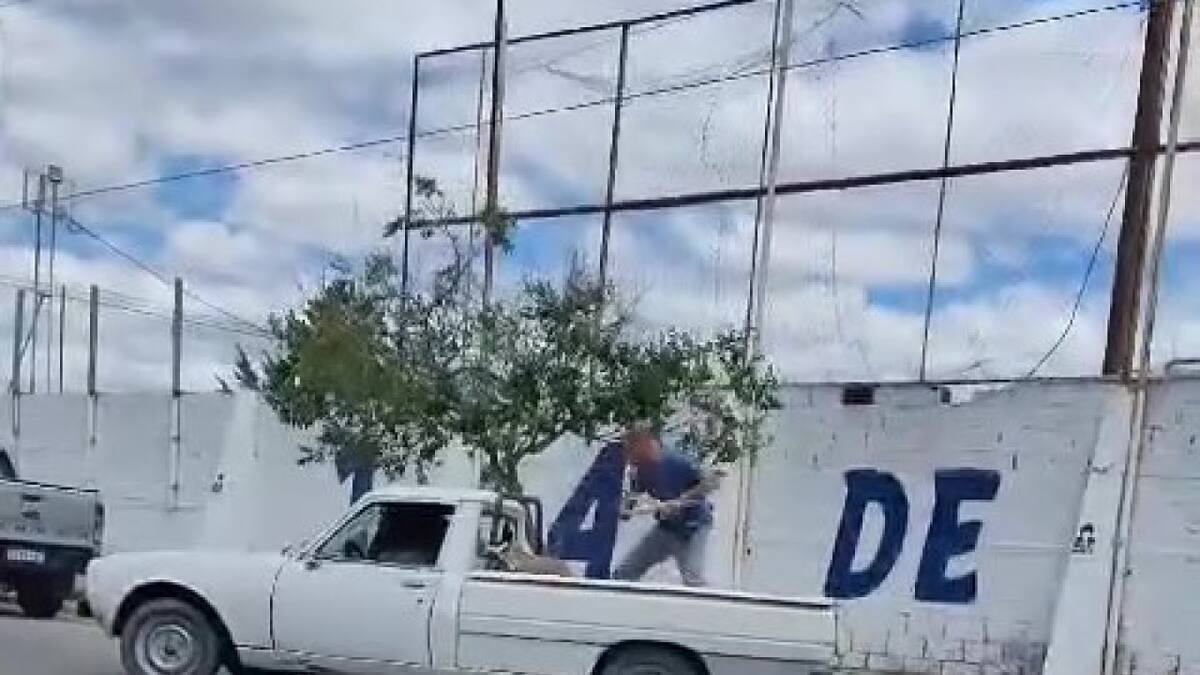 Un hombre le destrozó la camioneta a su amigo porque se negó a regalarle huevos de gallina. Foto: Captura de pantalla.