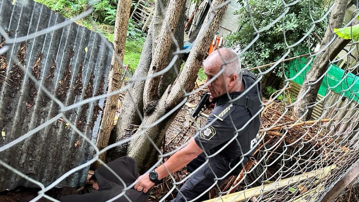 Un ladrón fue hallado dentro de la cucha del perro. Foto: Twitter.