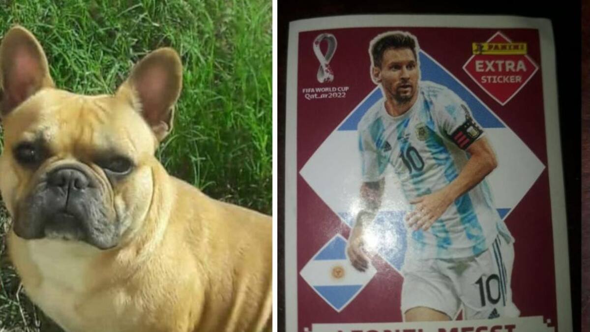 Un nene cambia una figurita de Messi por el perro de su amigo