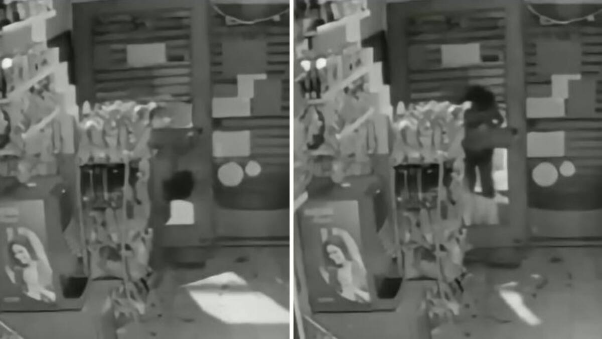 Un nene de 12 años robó $100.000 de un kiosco en La Plata. Foto: captura de video.