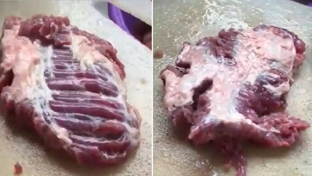 Un pedazo de carne cruda se comenzó a mover.
