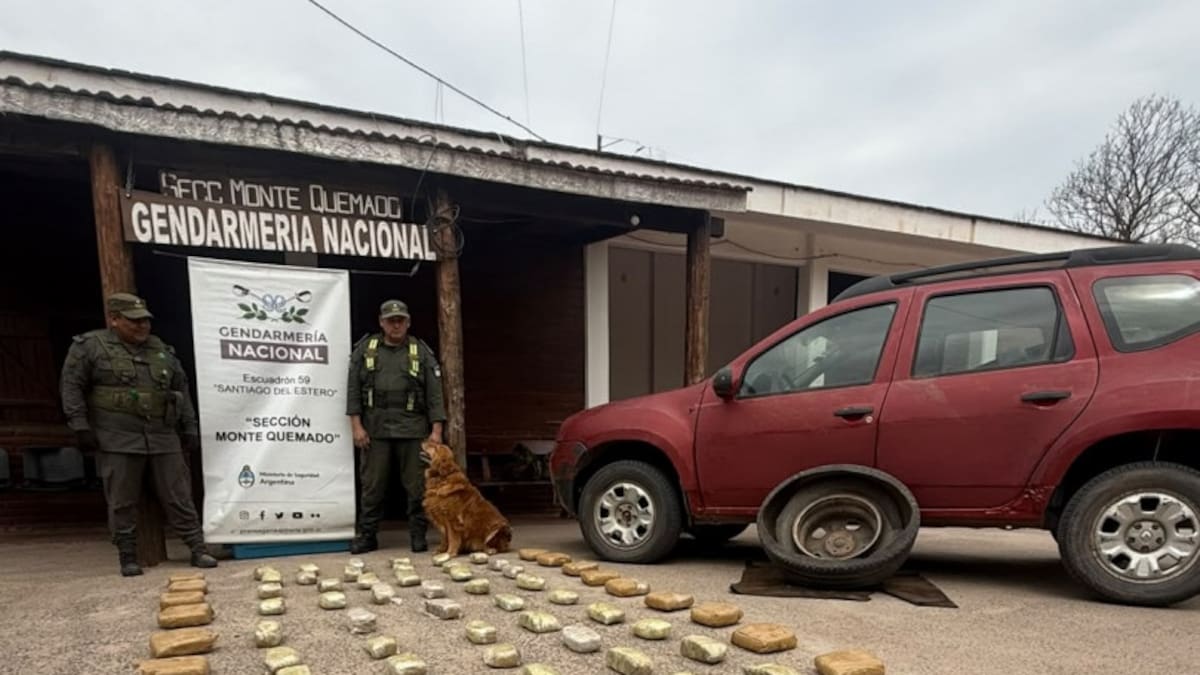 En Santiago del Estero: el perro detector de narcóticos “Yasi” marcó un vehículo y hallaron más de 53 kilos de marihuana