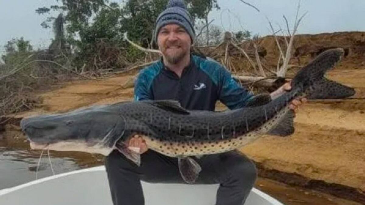 Un pescador misionero pescó un Surubí de 40 kilos en Itá-Baté. Foto: NA.