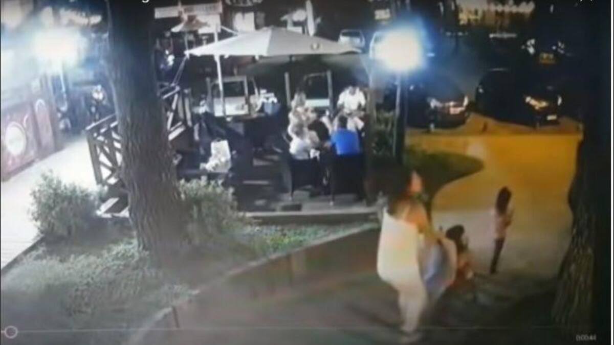 Un pino de 13 metros cayó sobre una nena de 5 años