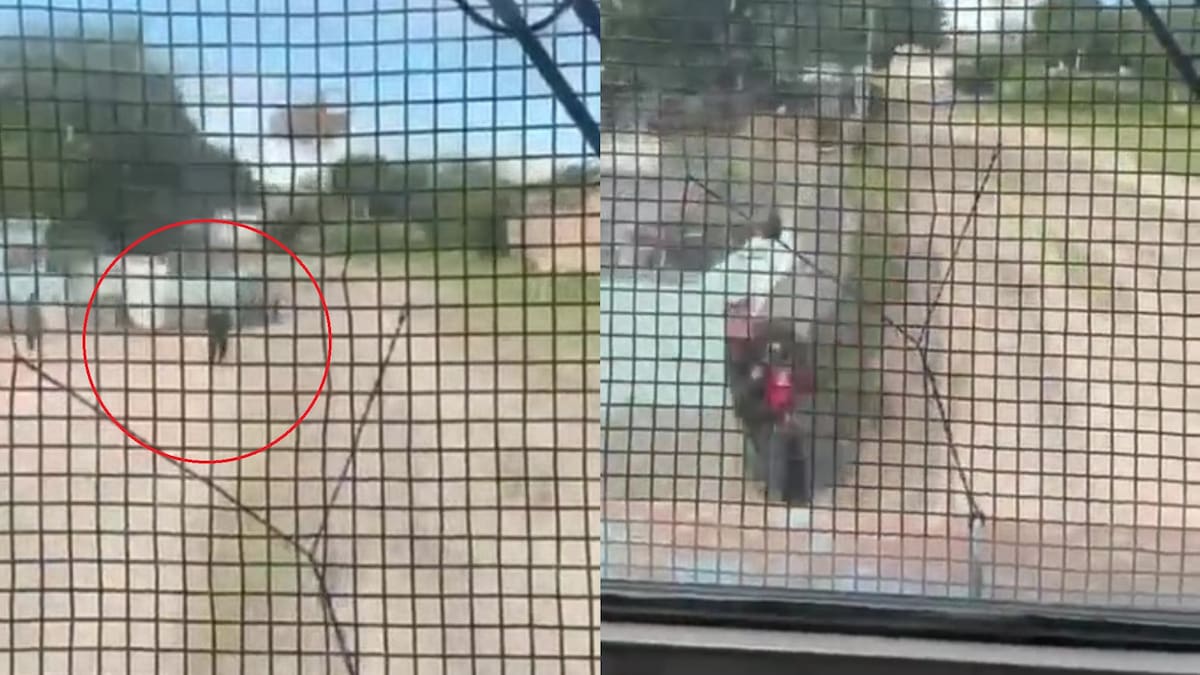 Video desesperante: un policía le salvó la vida a un nene antes de ser atropellado por un tren de carga