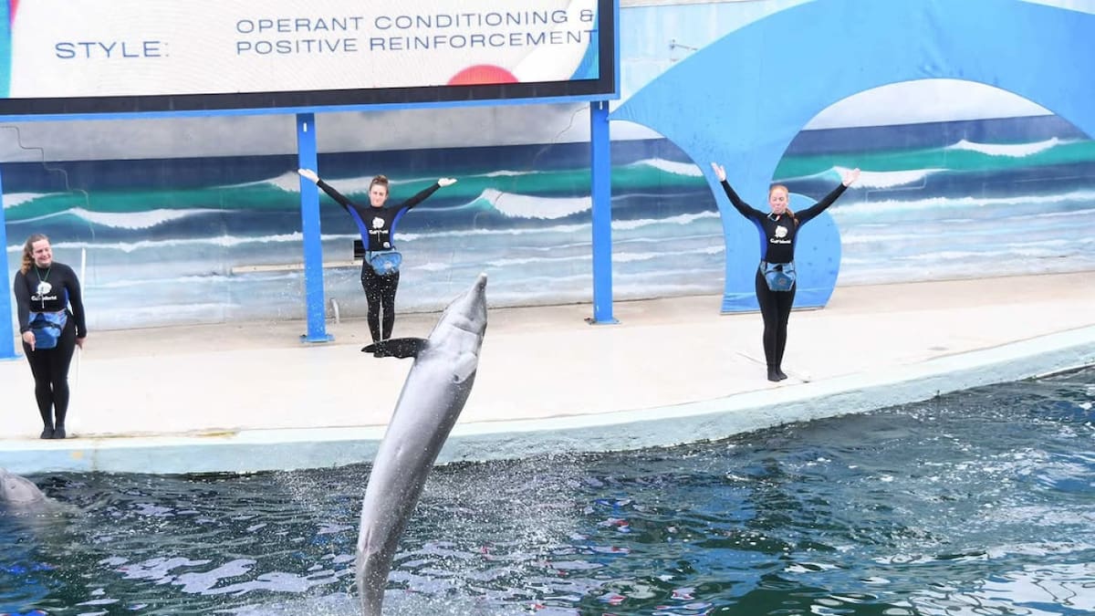 Un reconocido parque acuático va a la quiebra. Foto: Instagram gulfworldpcb.