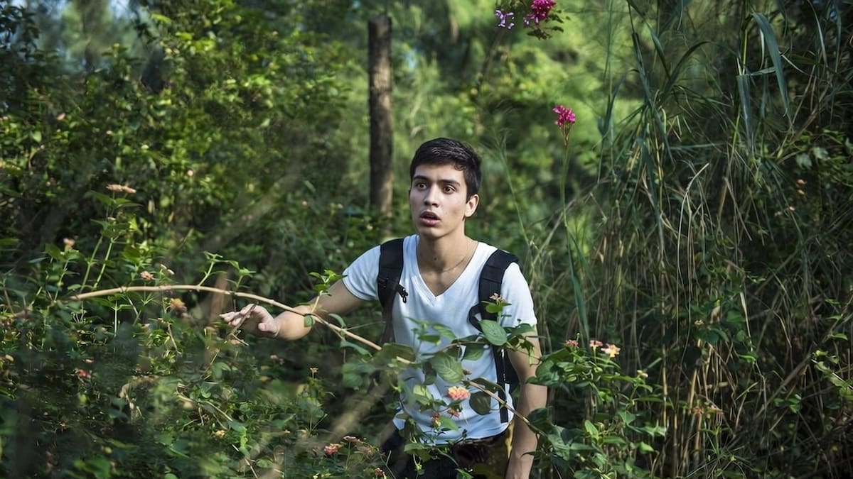 Una de las localidades más famosas de la Costa Atlántica alberga el laberinto más grande de Sudamérica: dónde queda y cómo ir