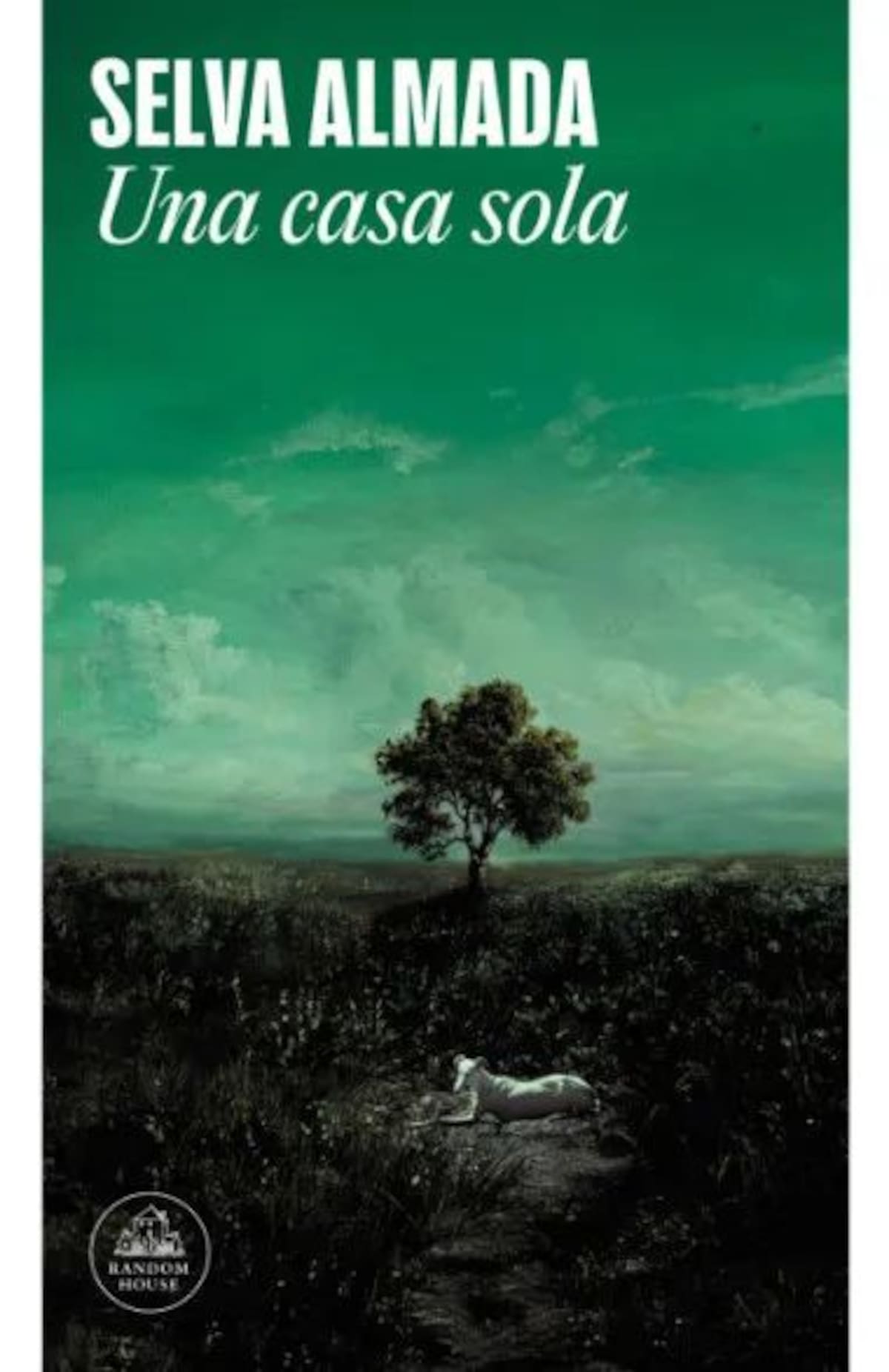 La última novela de Selva Almada