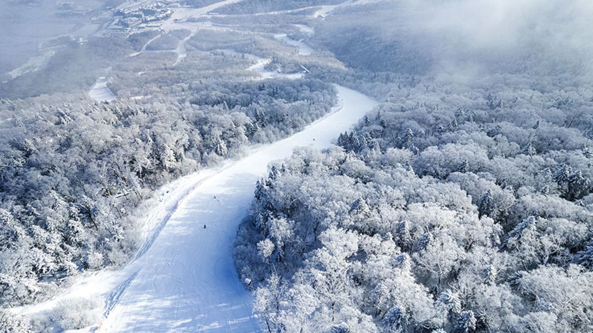 El mejor lugar para esquiar no está en Sudamérica: el impresionante tren bala rumbo a una de las bases más importantes para practicar el deporte