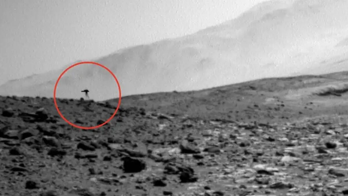 ¿Una medusa en Marte? La imagen de la NASA que sorprendió a científicos y aficionados