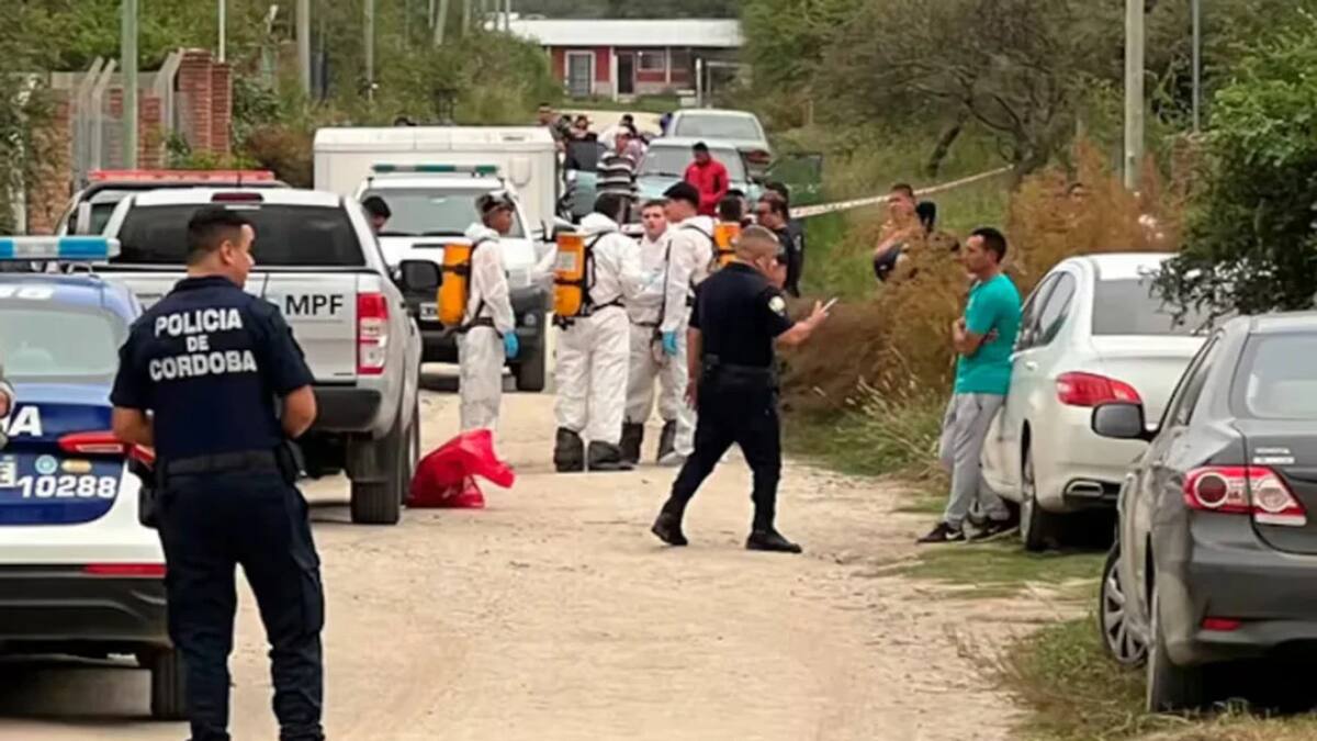 Una mujer fue detenida por el crimen de sus hijos. Foto: NA