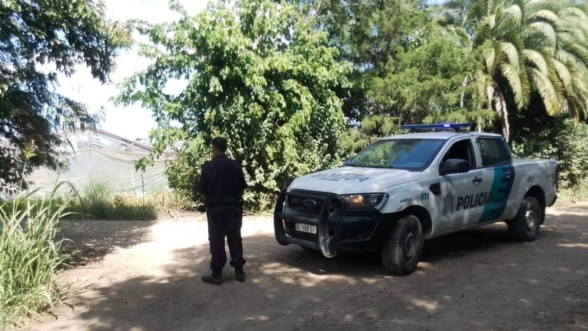 Una mujer mató a puñaladas a su ex en La Plata. Foto: El Día