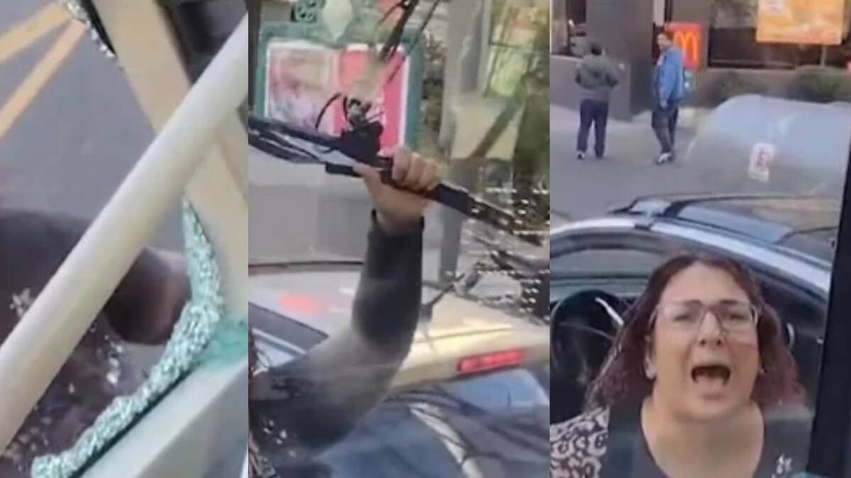 Una señora rompió un colectivo en medio de un ataque de furia. Fotos: captura video.