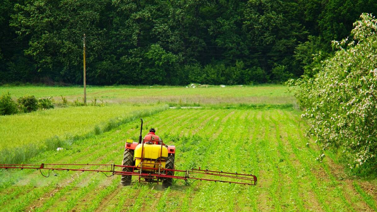 Alerta por el uso de glifosato: una breve exposición al pesticida podría causar un daño cerebral permanente