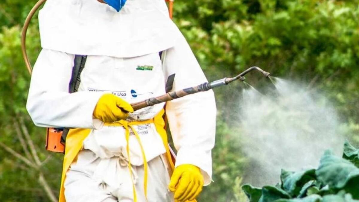 Uso de plaguicidas. Foto: OPS.