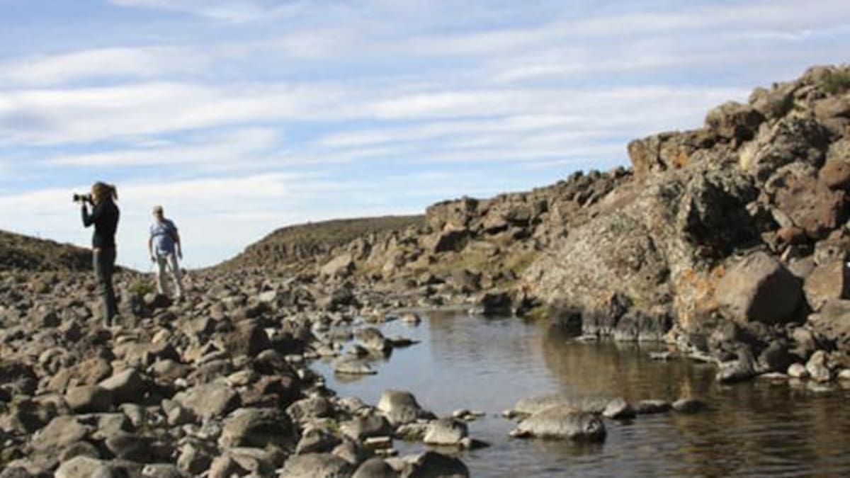El pueblito que esconde un bosque petrificado de 65 millones de años y es ideal para visitar con el Tren Patagónico