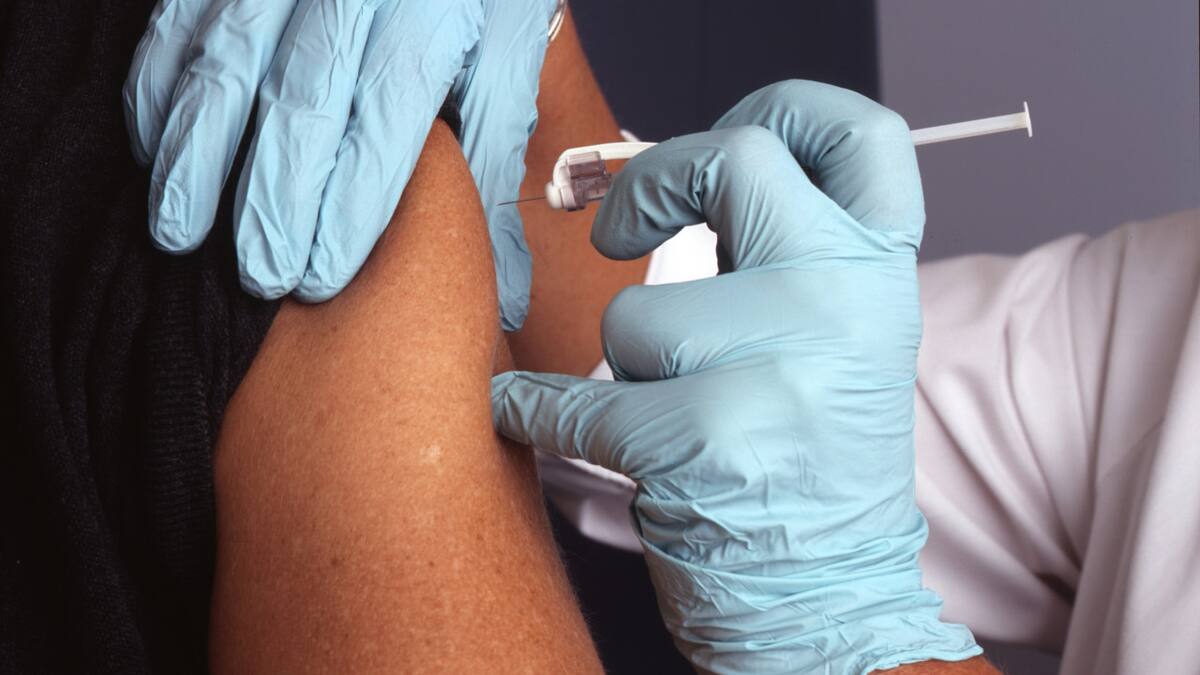 Lanzan una convocatoria para mayores de 45 años para testar la vacuna contra el dengue: cómo inscribirse