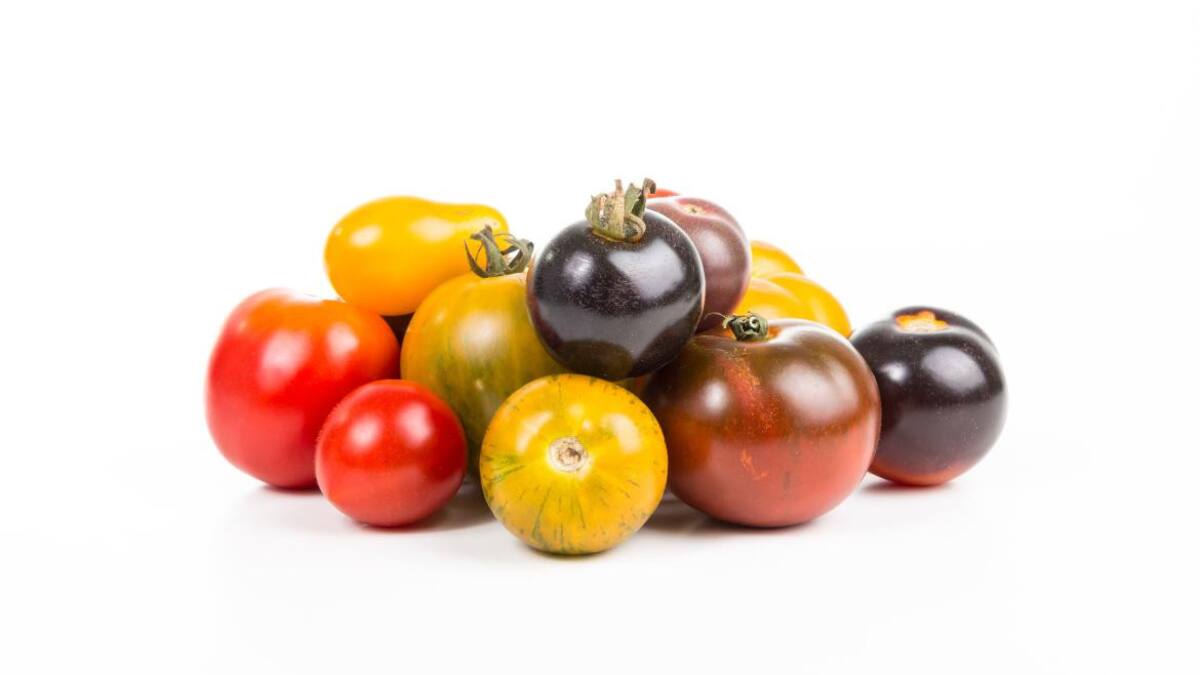 Variedades de tomate. Foto: Unsplash, Quaritsch photography.