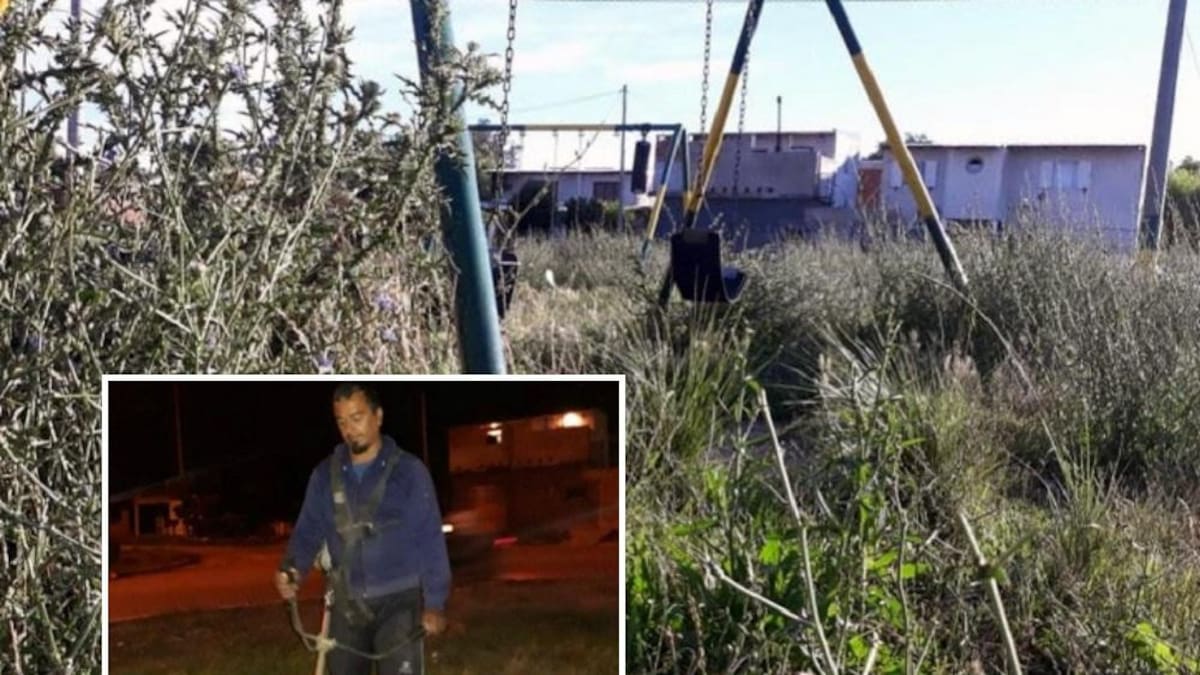 Vecinos cortan el pasto en Mar del Plata