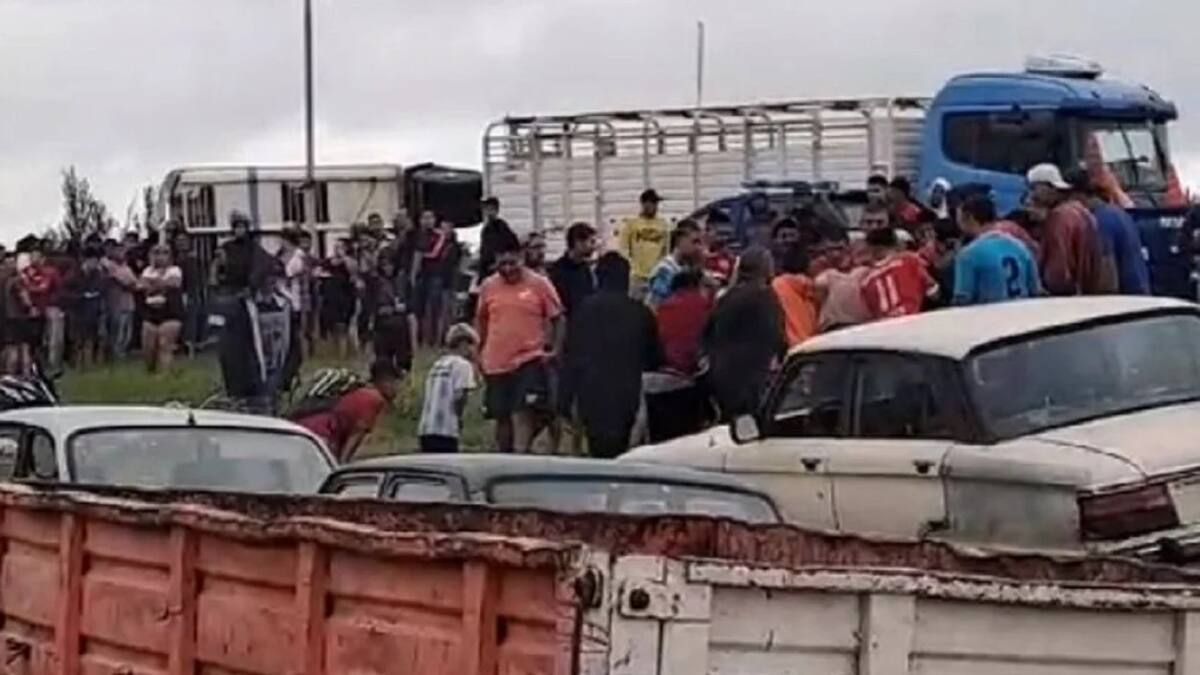 Vecinos faenaron las vacas que llevaba un camión que volcó. Foto: Captura.