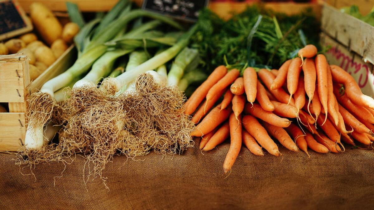 5 nutrientes clave para frenar el envejecimiento: qué dice la ciencia y cómo actúan en el cuerpo