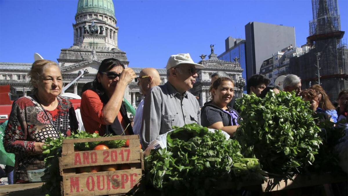 Verdurazo frente al Congreso - Protesta (NA)