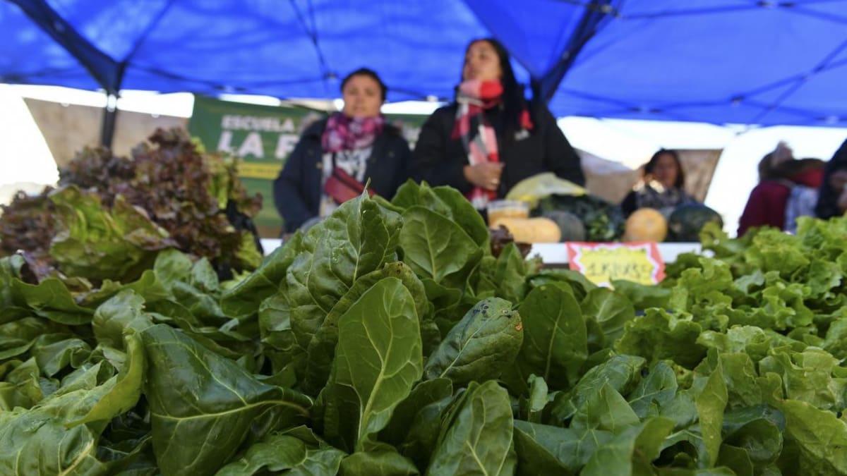 “Verdurazo” de Organizaciones Sociales en Plaza de Mayo