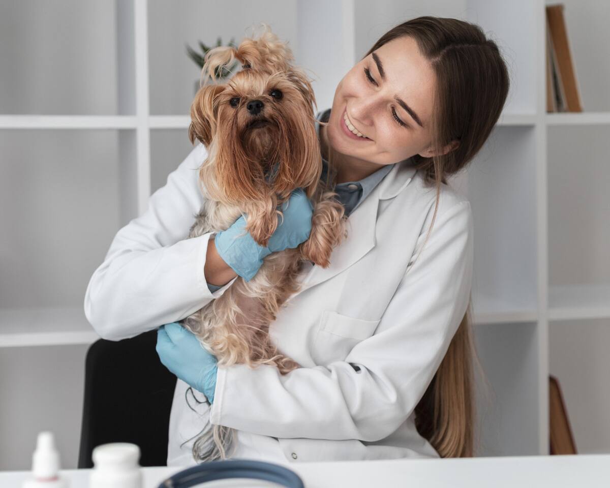 Veterinaria, animales. Foto Freepik