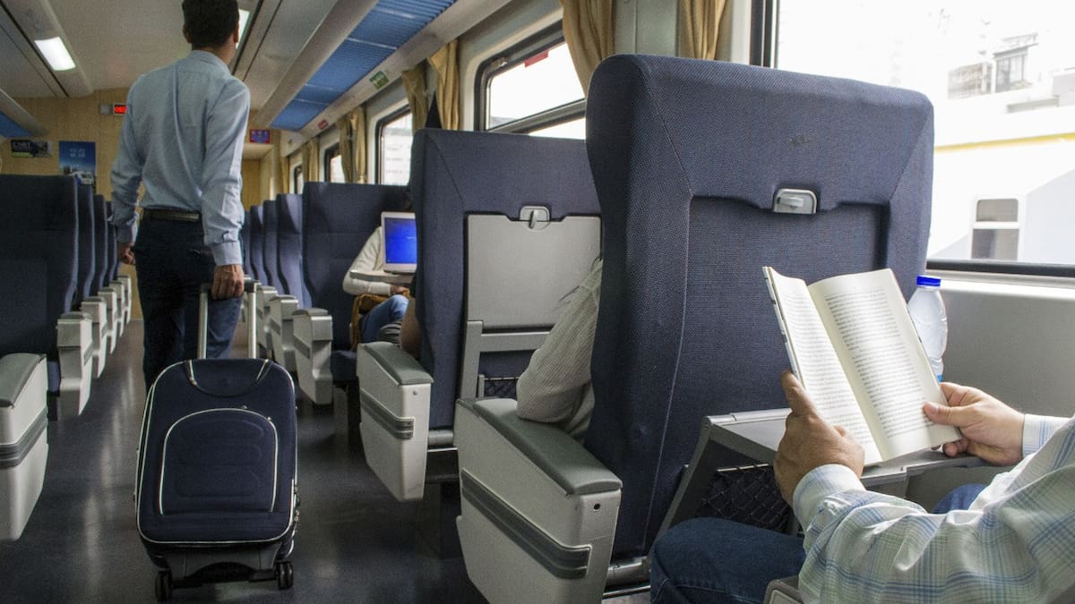 Pasajes de tren a Mar del Plata para vacaciones de invierno: cuánto cuestan, horarios y requisitos para viajar con mascotas
