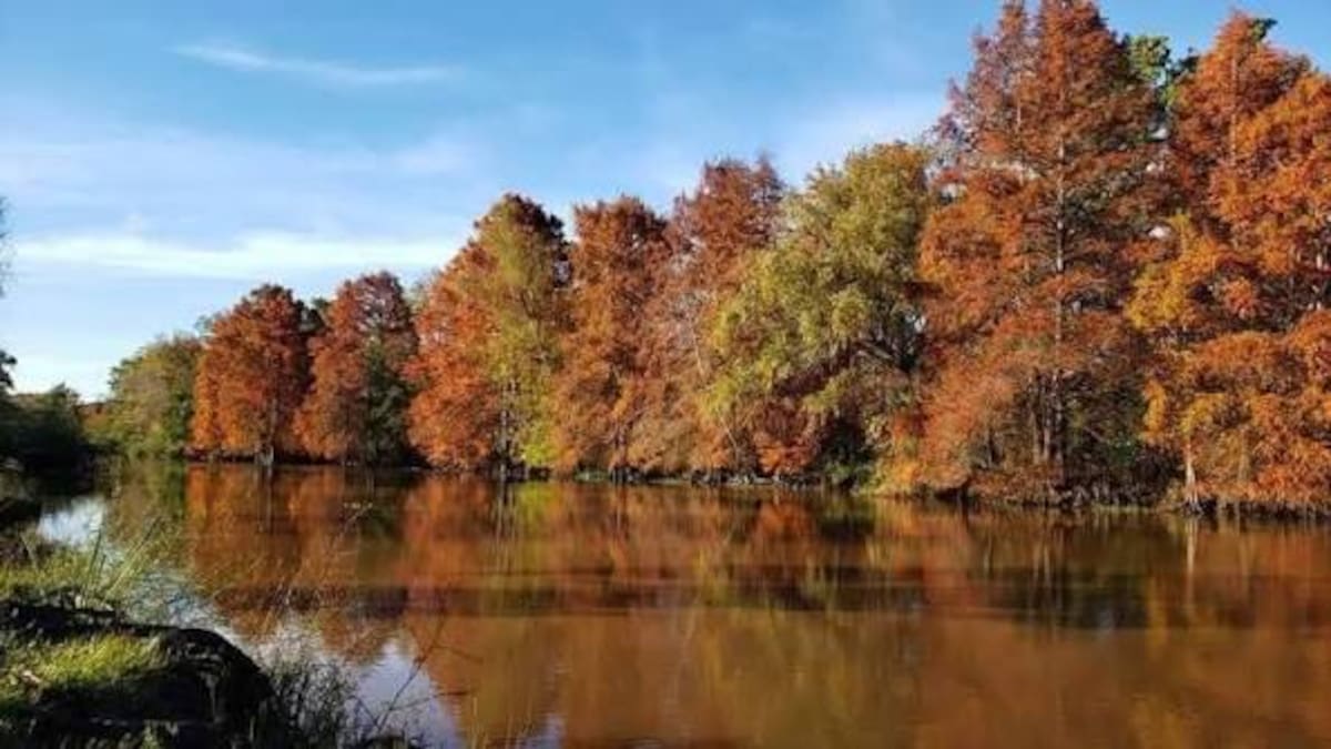 Como en Venecia, pero en Argentina: el paraíso isleño escondido ideal para una escapada de invierno cerca de CABA