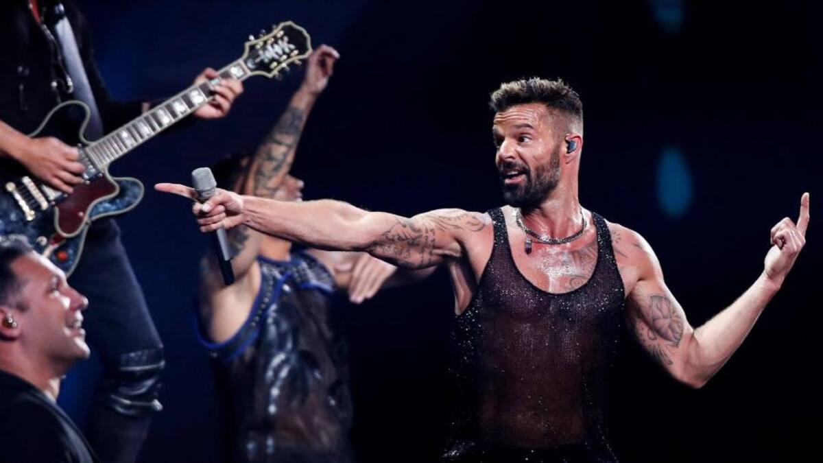 Viña del Mar, Ricky Martin