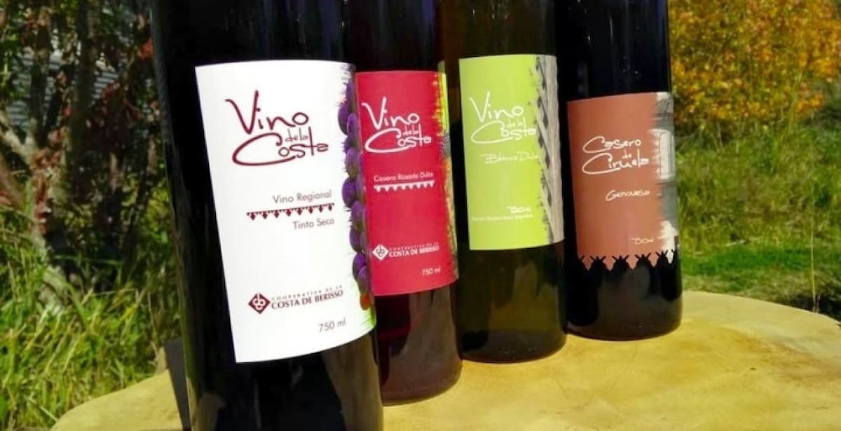 Viñedo Vino de la Costa. Fuente: Municipio de Berisso