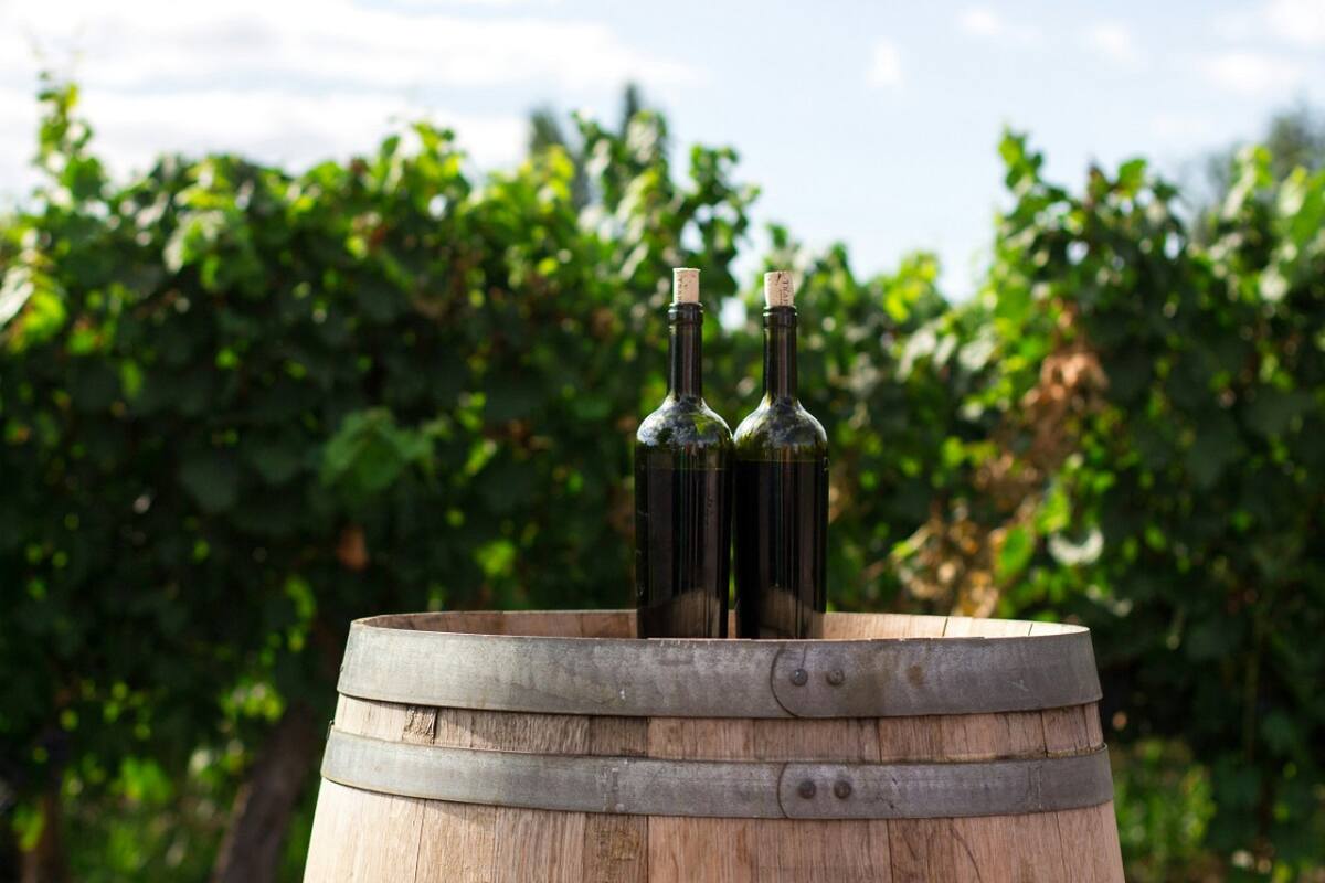 Vino; bebida alcohólica. Foto: Unsplash.