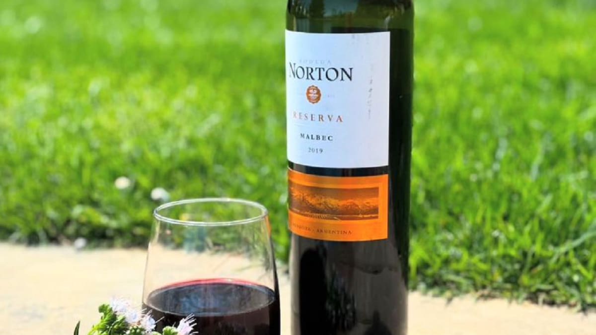 Vino Norton. Foto: redes sociales