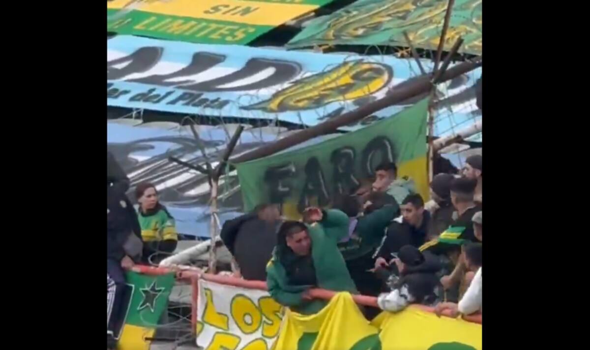 Violenta pelea en la tribuna de Aldosivi