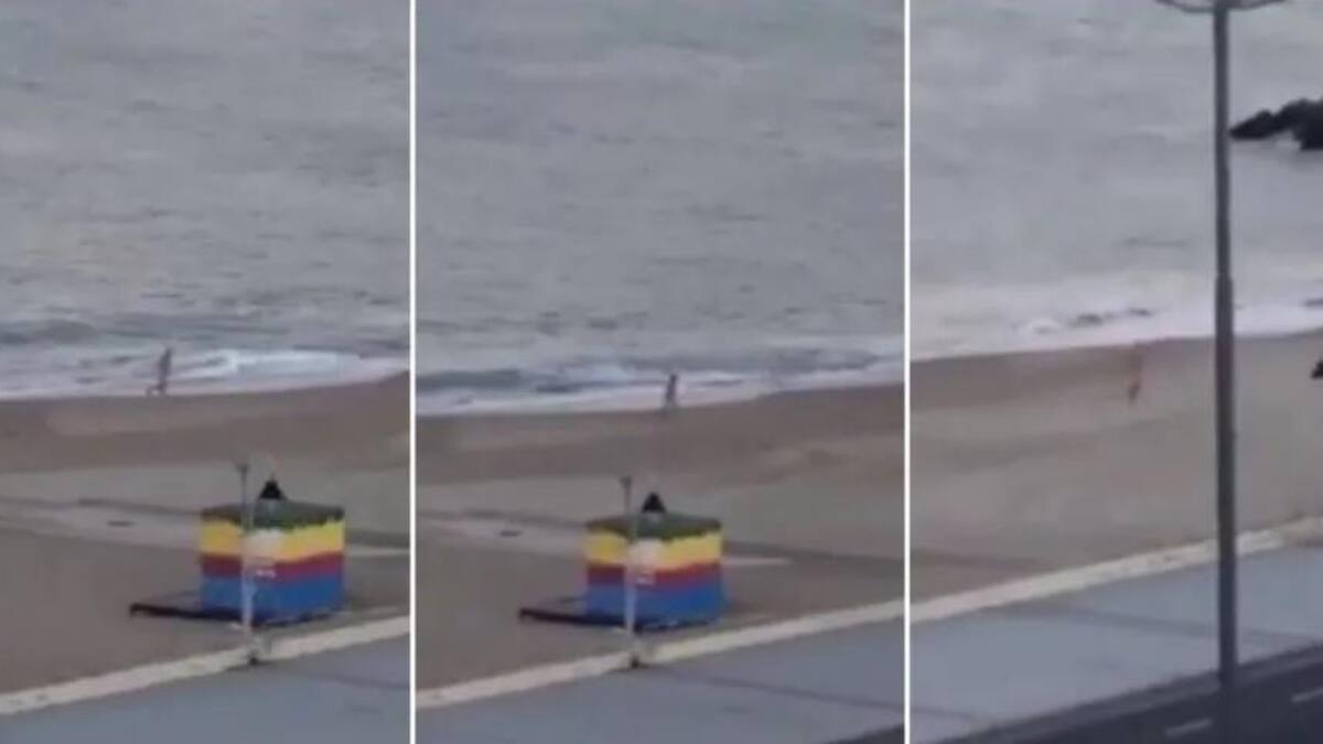 Violó la cuarentena para meterse desnudo al mar en Mar del Plata