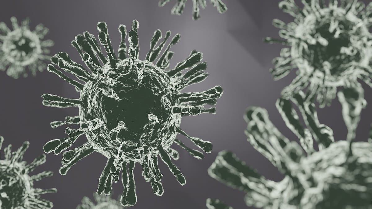 Hito para la ciencia: detectan el virus del resfriado más antiguo de la historia en tejidos del siglo XVIII