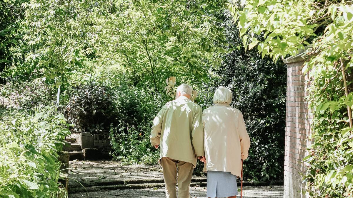 Vivir cerca de zonas verdes frena el envejecimiento. Foto: Unsplash